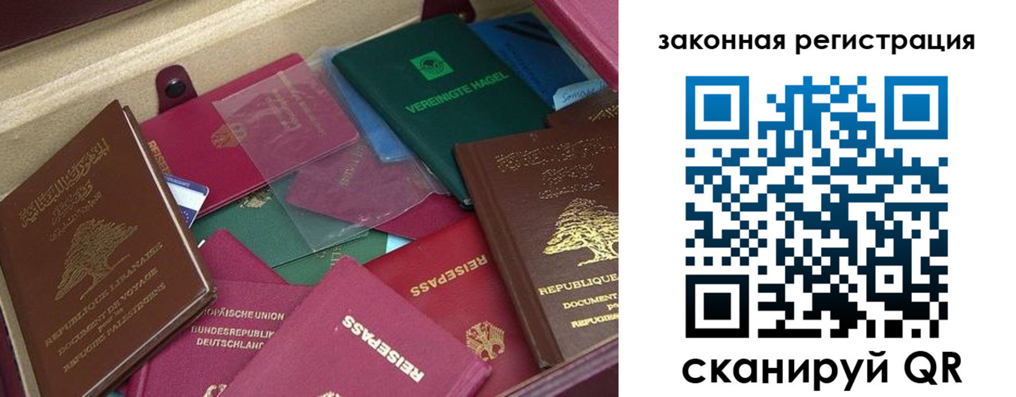 прописка гарантия в Мурманске